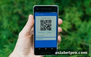 亚洲博彩网站提现审核加急全攻略：流程、技巧与常见问题解析