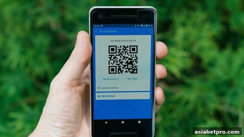亚洲博彩网站提现审核加急全攻略：流程、技巧与常见问题解析