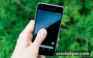 亚洲博彩网站用户必读：支付宝充值ERC20代币的审核时长与利澳优选方案