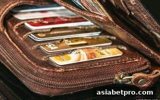 亚洲博彩网站TRC20充值未到账？从原因到解决的全方位指南
