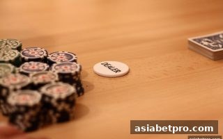 亚洲博彩网站深度解析：龙虎游戏策略与优惠利用全指南