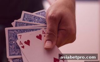 极速龙虎深度解析：亚洲博彩网站热门玩法的风险管控与策略指南
