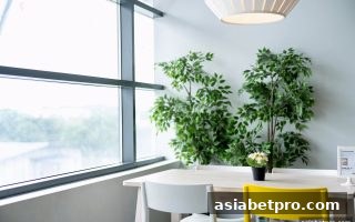 亚洲博彩网站玩家进阶之道：系统化练习提升桌游水平