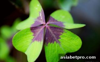 极速赛车让球盘技巧深度解析：亚洲博彩网站带你玩转BBIN真人平台