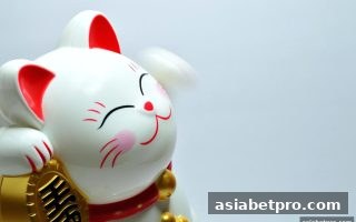 北京赛车选号技巧全解析：亚洲博彩网站玩家的理性参与指南