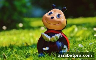 亚洲博彩网站揭秘：倍投策略与组合玩法的实战搭配
