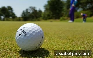 彩票玩法深度解析：亚洲博彩网站教你像雷霆战警一样理性选号