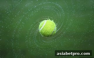 提升彩票中奖概率：在亚洲博彩网站中掌握数学逻辑与理性玩法