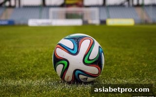 组选与单式投注策略全解析：亚洲博彩网站教你理性止盈止损