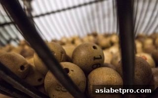 亚洲博彩网站深度解析：快3彩票与主流彩票类型全对比及TRC20充值指南