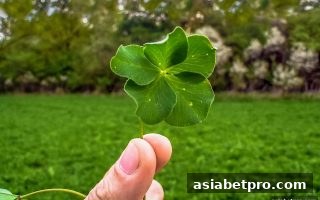 亚洲博彩网站深度解析：捕鱼达人概率游戏的运作逻辑与玩家须知