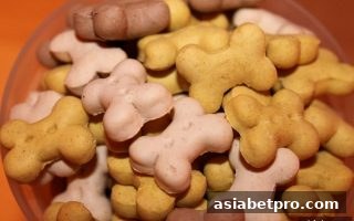 亚洲博彩网站签到奖励深度解析：从算法到策略，最大化你的每日收益