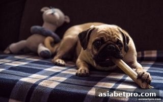 亚洲博彩网站老虎机注册现金奖励全攻略：从领取到高效使用