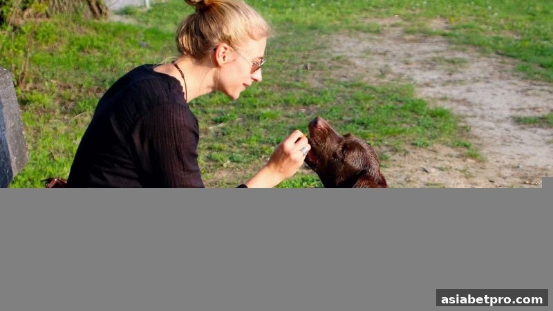 亚洲博彩网站首存优惠全攻略：规则解读、风控应对与提现指南