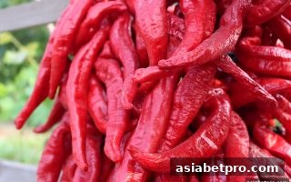 亚洲博彩网站微信支付首存优惠：精准捕捉最佳存款时机全攻略