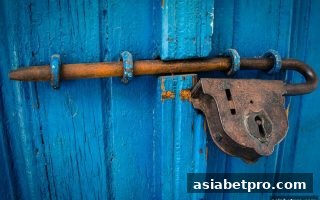 亚洲博彩网站透明度深度剖析：如何筛选靠谱平台？——以Pragmatic电子为例，揭秘公平性关键