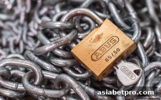 亚洲博彩网站深度解析：菲律宾百家乐法律变迁与免实名出款前景