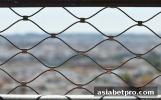 亚洲博彩网站波音百家乐：安全体系与VIP升级福利全解析