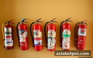 亚洲博彩网站高效维权指南：从证据准备到终极投诉策略（含预防要点）