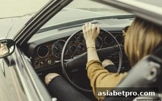 电子游戏参数全解析：亚洲博彩网站如何达标马耳他牌照合规