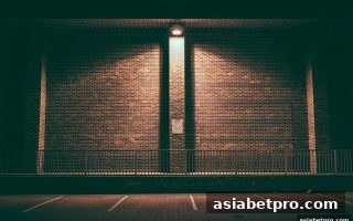 亚洲博彩网站深度解析：奖励机制如何重塑ERC20充值生态
