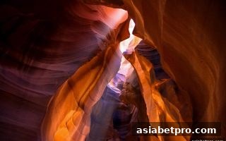 连线设计深度解析：亚洲博彩网站如何运用线路机制重塑游戏策略